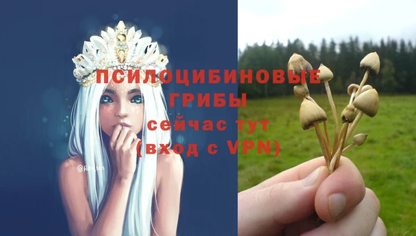 ECSTASY Волоколамск